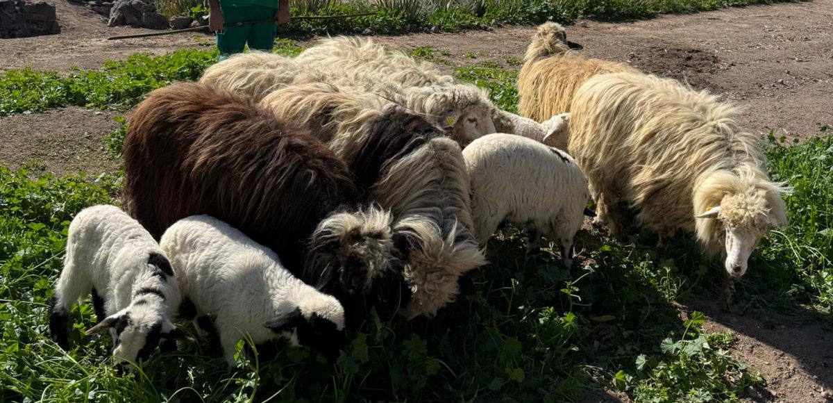 480cc102-561b-4256-bcca-92a62cc122a1